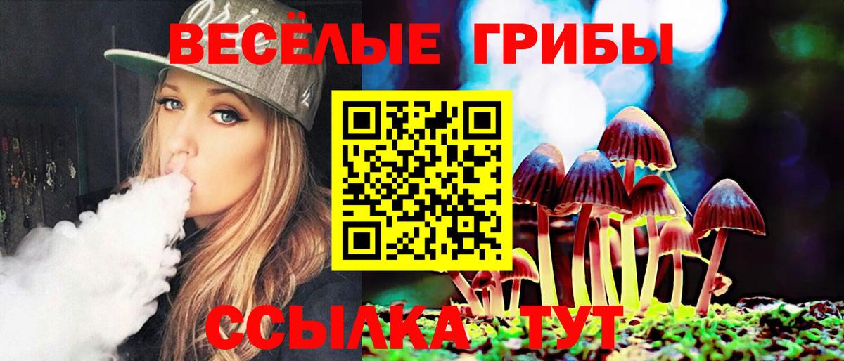 Галлюциногенные грибы Psilocybe Луховицы